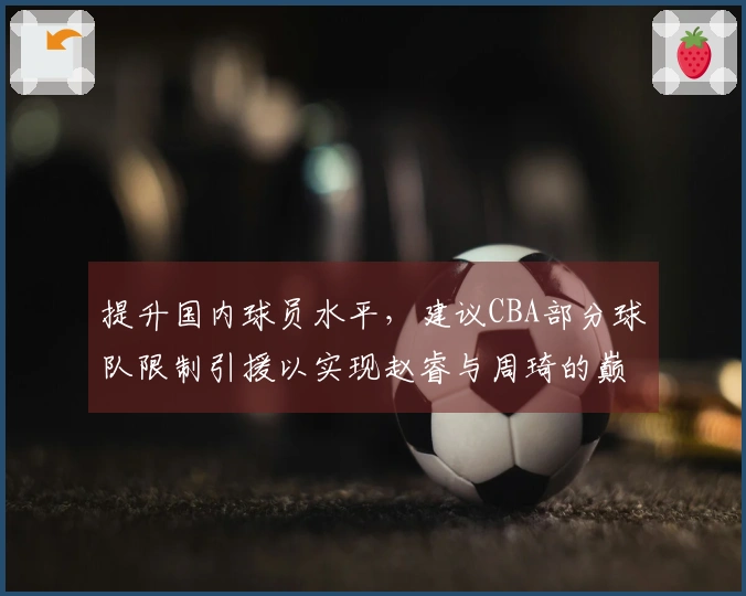 提升国内球员水平，建议CBA部分球队限制引援以实现赵睿与周琦的巅峰表现